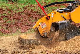 Best Tree Removal  in Nd Point, WI