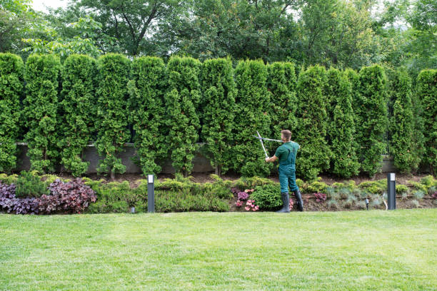 Best Artificial Turf Installation  in Nd Point, WI