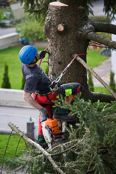 Lawn Drainage Solutions in Wind Point, WI